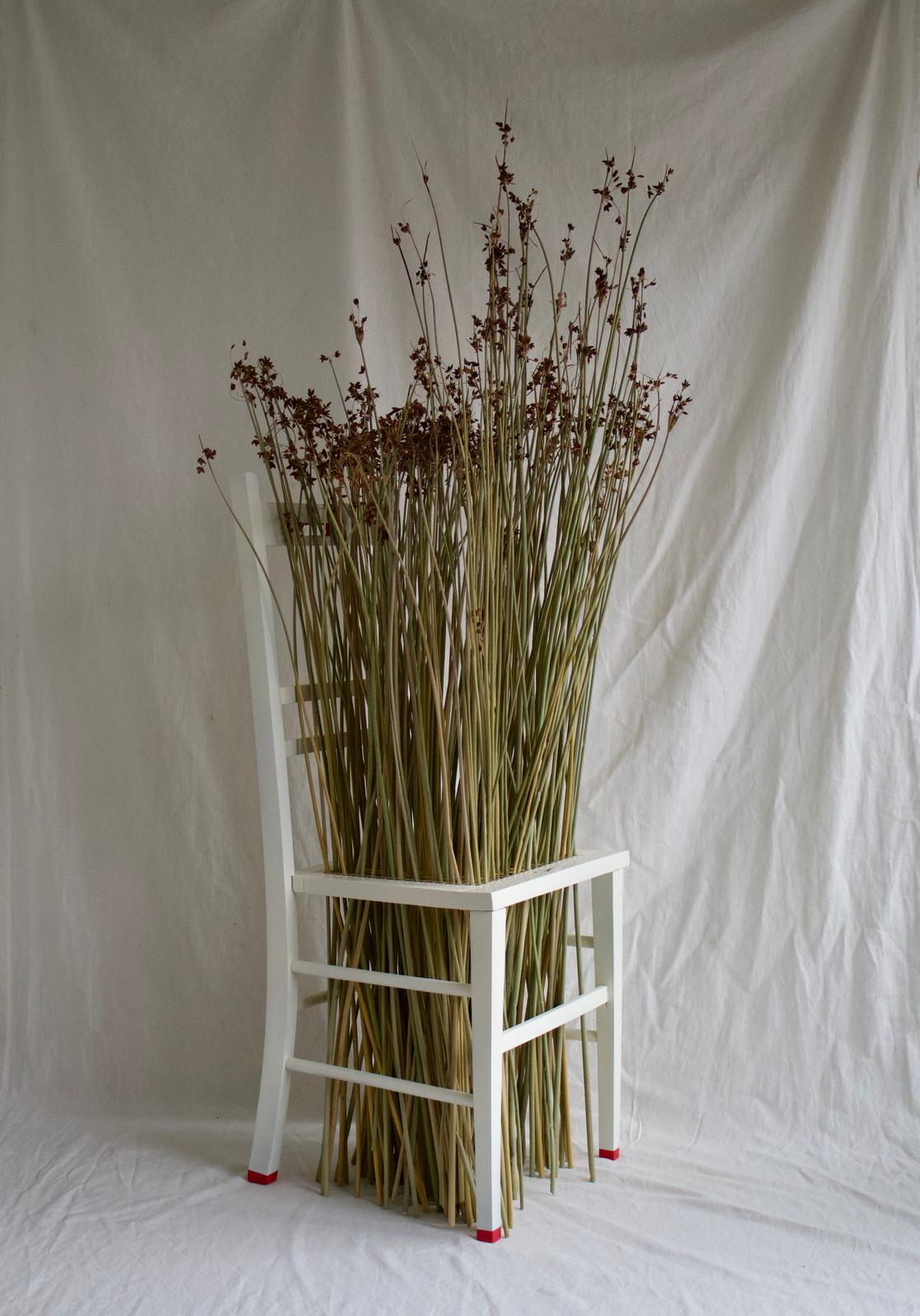 Ella Merriman — The Work