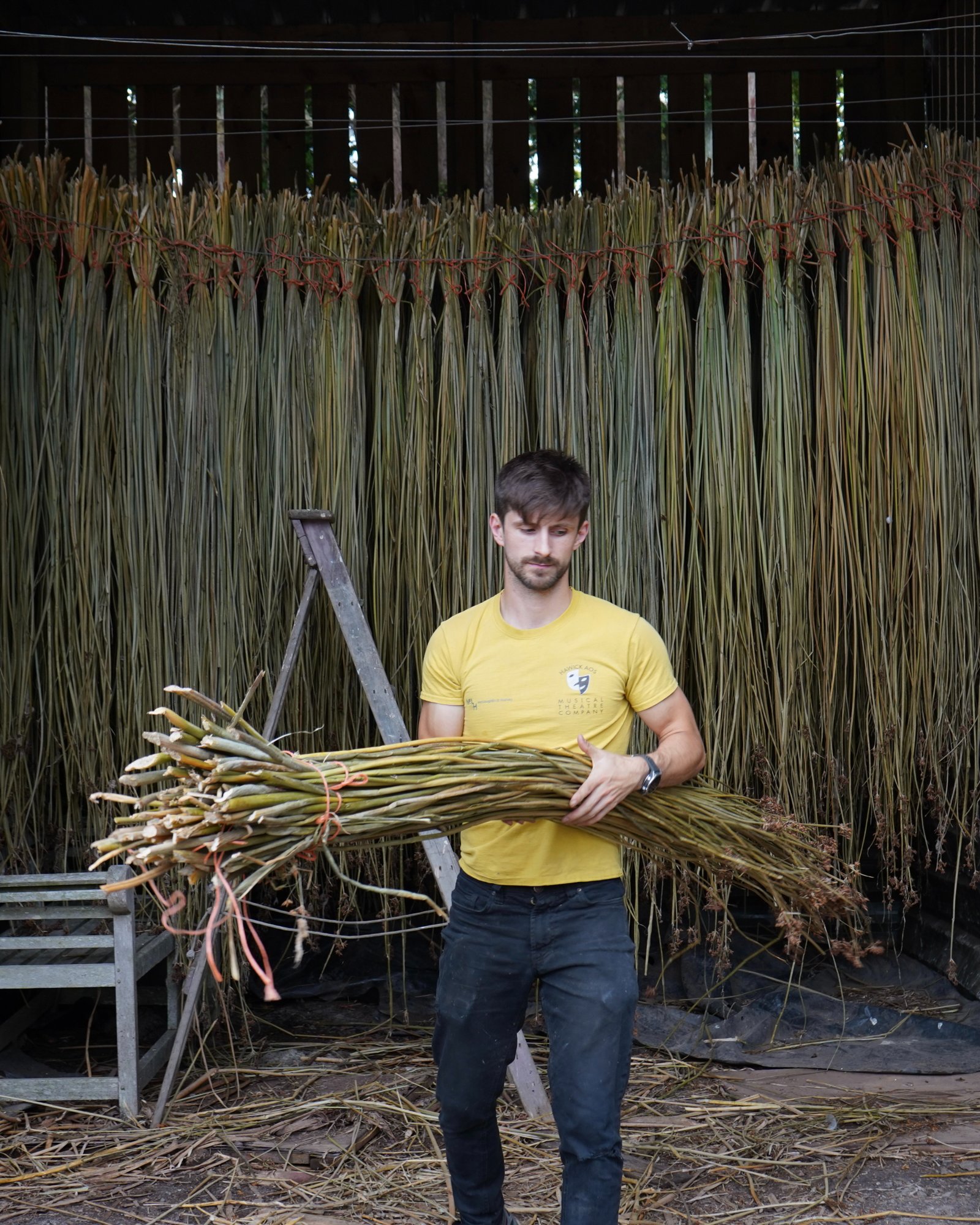 Rush harvesting at Marchmont