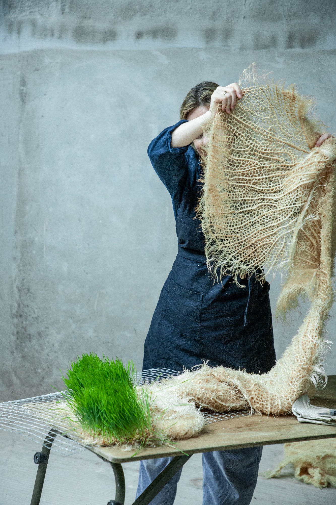 Rootfull — Indigo Root Panel