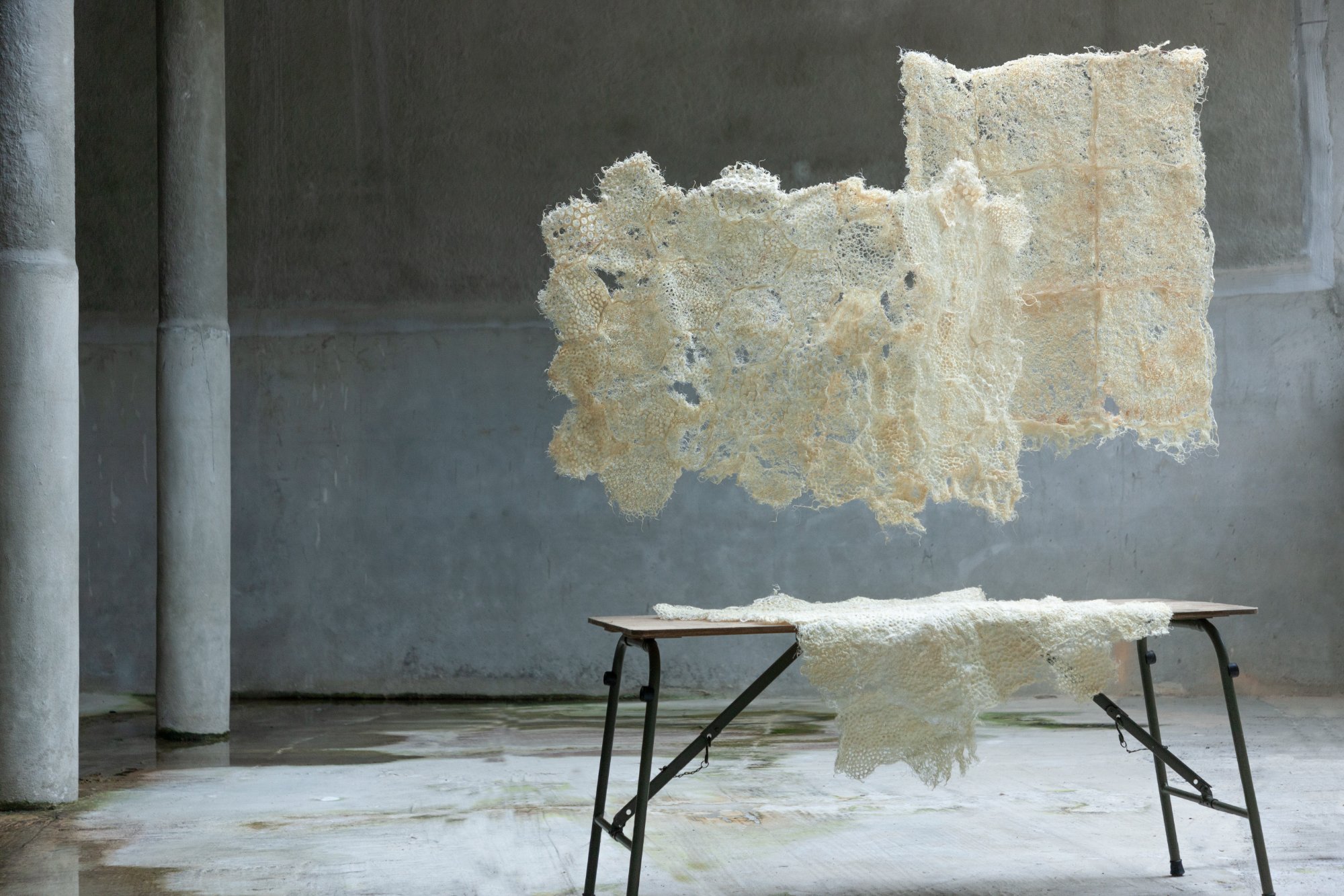 Rootfull — Root work suspended