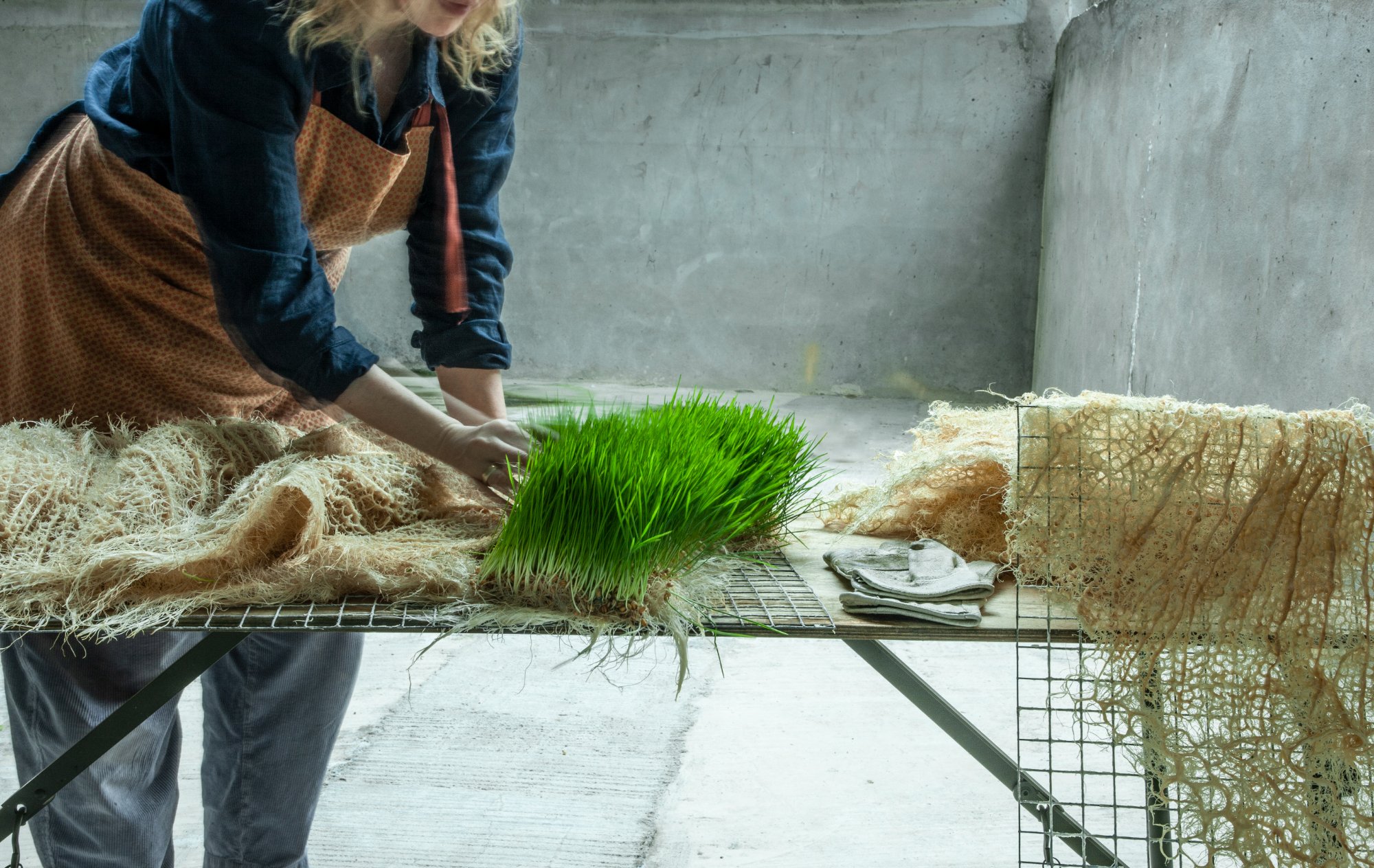 Rootfull studio process